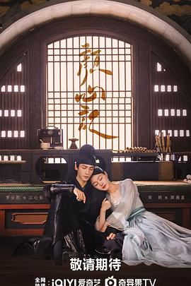 阜新seo网络优化